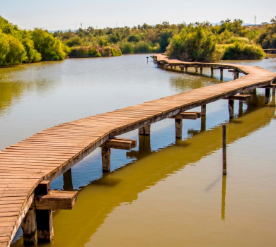 שמורת טבע עין אפק