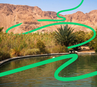 שמורת טבע עיינות צוקים (עין פשחה)