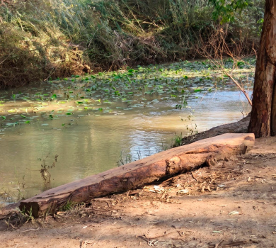 גן לאומי ירקון מקורות הירקון