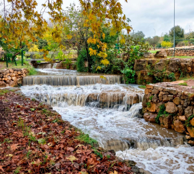 גן לאומי עין חמד