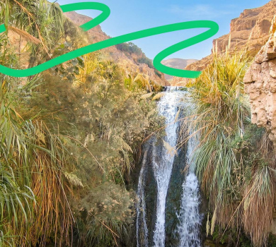 שמורת טבע עין גדי