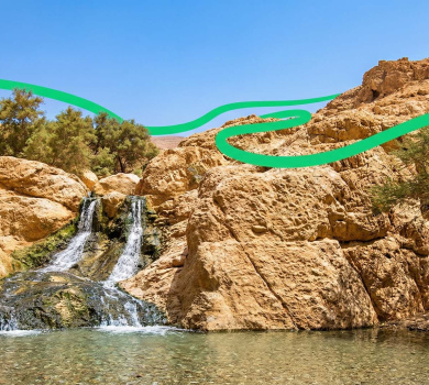 Ein Bokek Nature Reserve