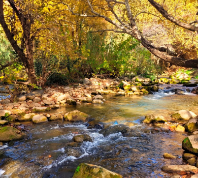 מורת טבע נחל שניר (חצבאני)