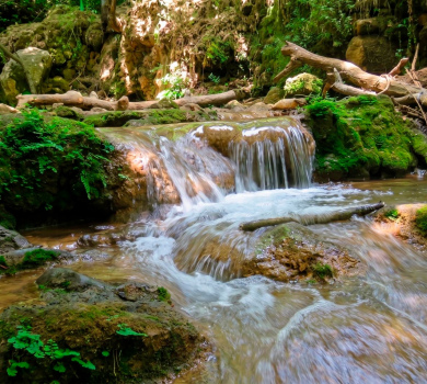 שמורת טבע נחל עמוד