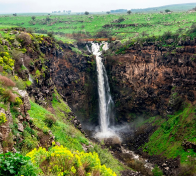 שמורת טבע גמלא