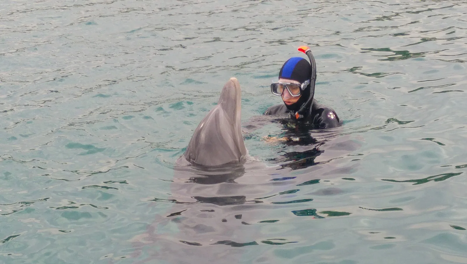Dolphin Reef Eilat