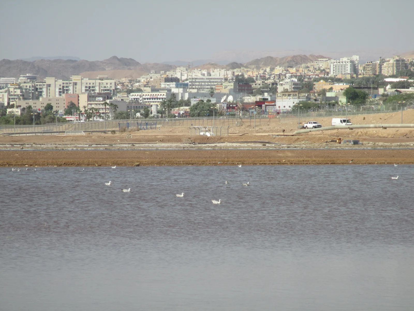 Eilat Birdwatching Park